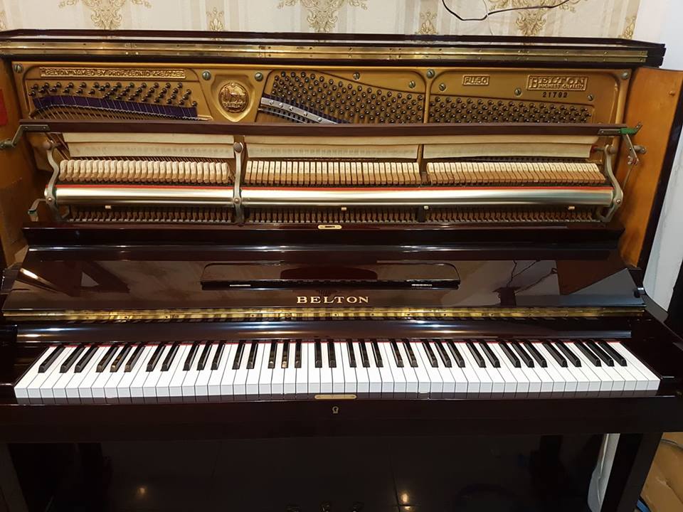 Piano Belton FU33 - Ảnh 2