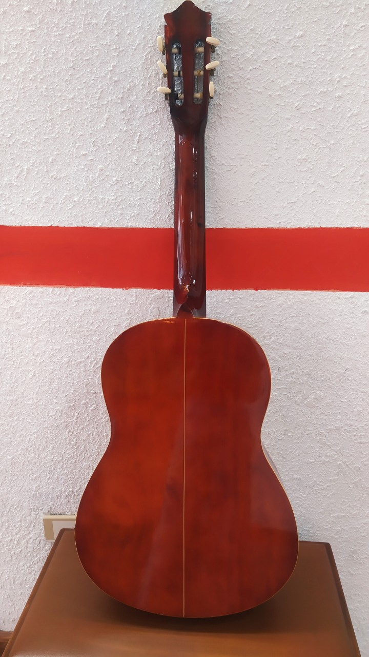 Guitar Classic ES05 - Ảnh 3