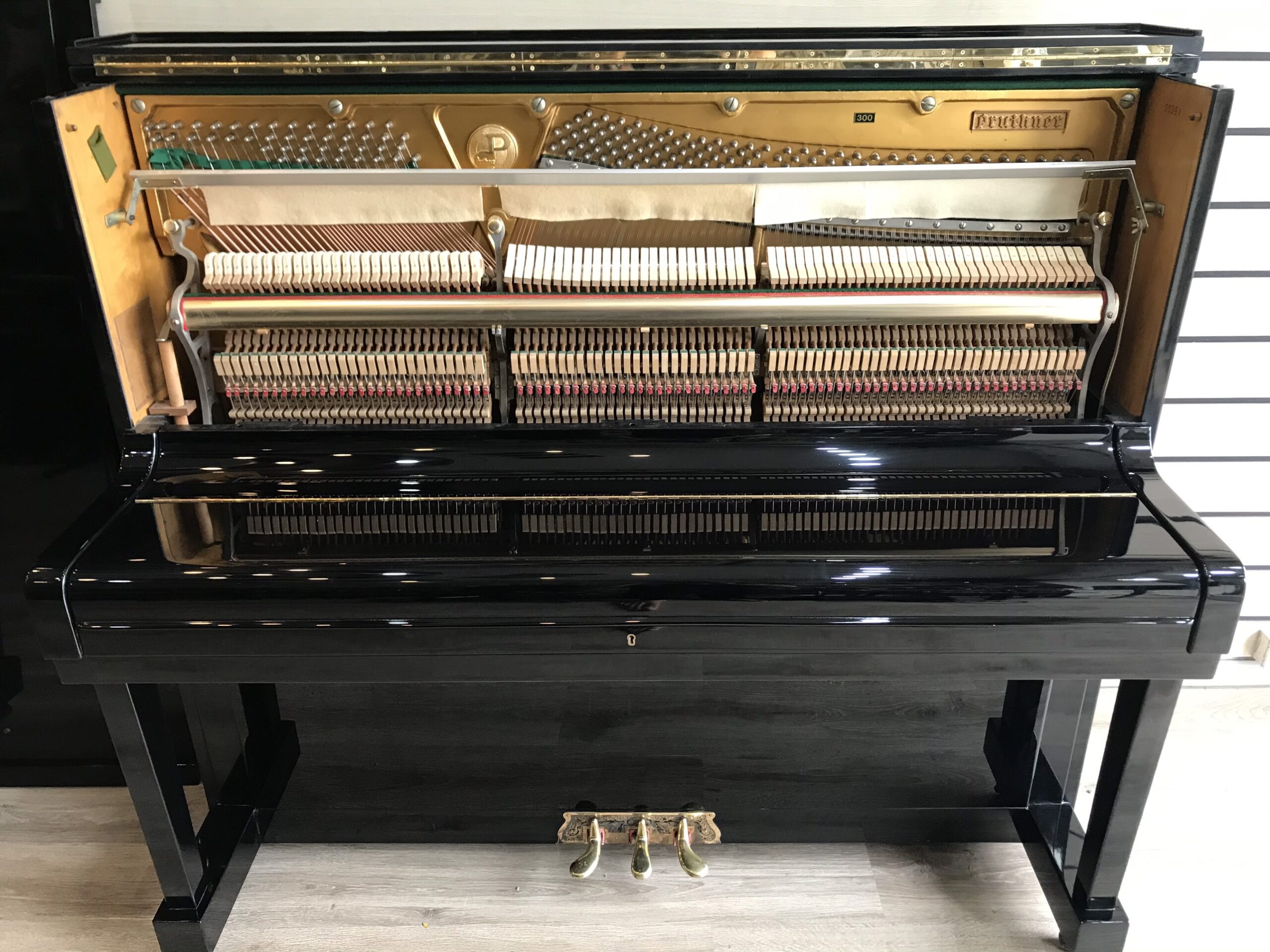 Piano Pruthner 300 - Ảnh 3