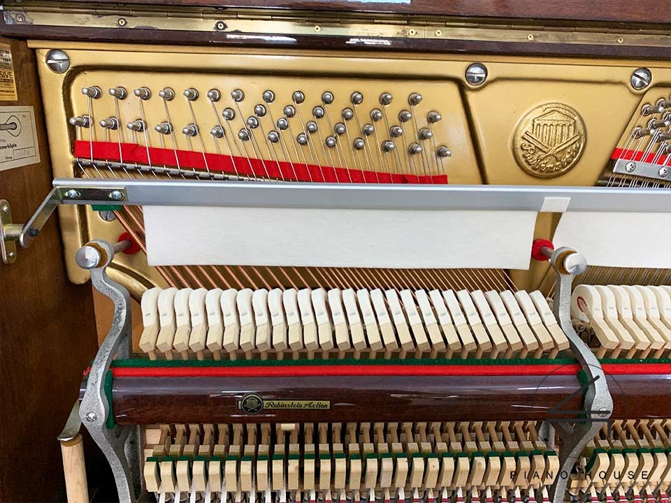 Piano Rubinstein - Ảnh 2