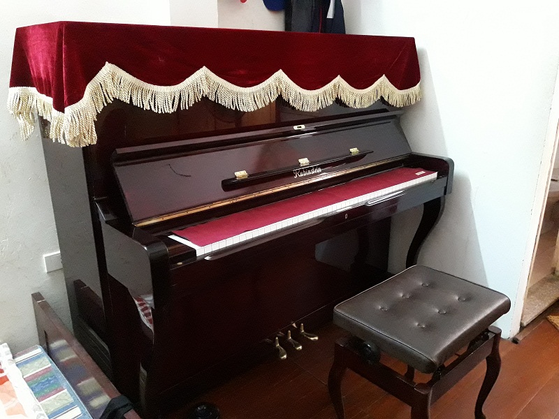 Piano Rubinstein - Ảnh 3
