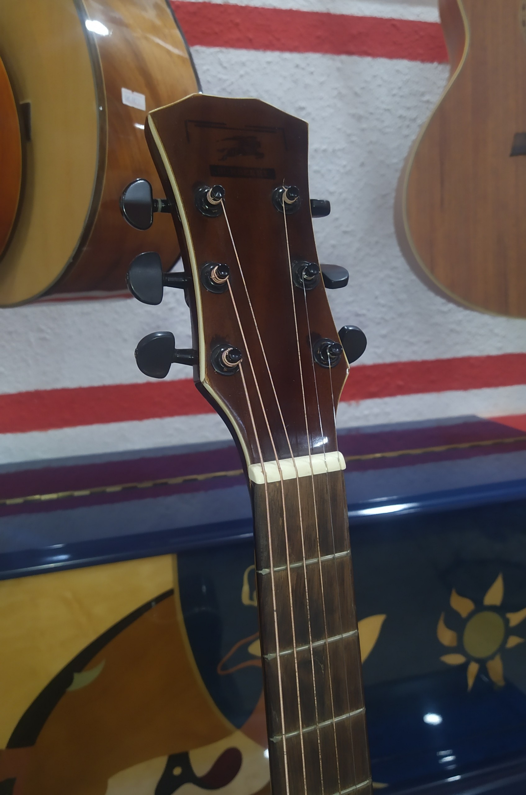 Guitar Viền Đá - Ảnh 2